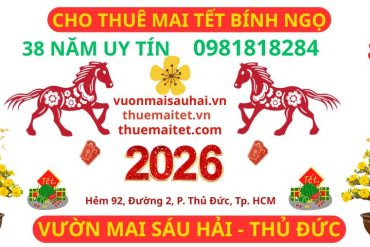 Cho thuÊ mai tẾt bính ngọ 2026