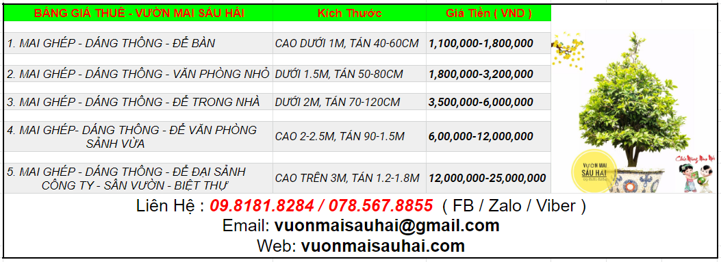 BẢNG BÁO GIÁ CHUNG TẾT 2020