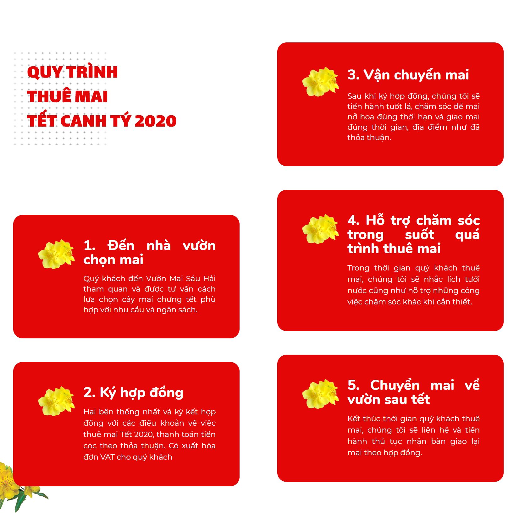 Quy trình thuê mai tết 2020