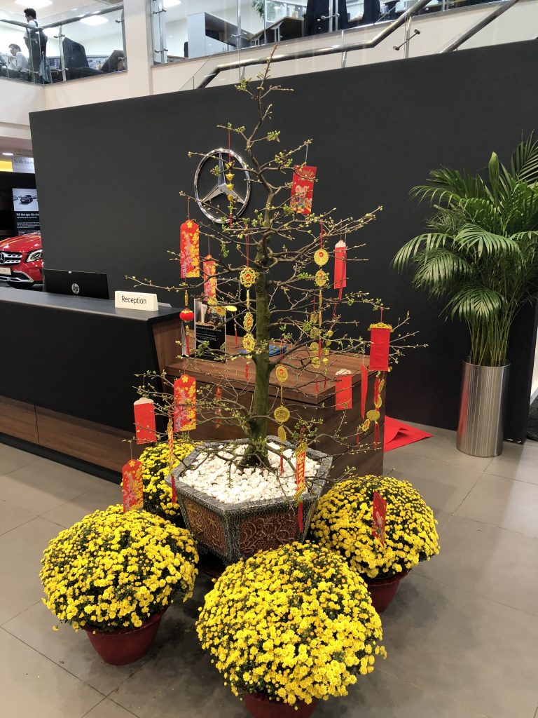 trang trí thêm cúc mâm xôi
