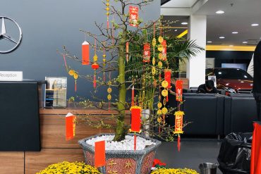 mai tết đẹp 2021
