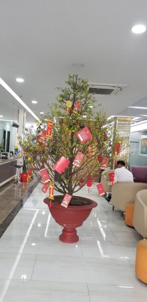 mai chưng sảnh