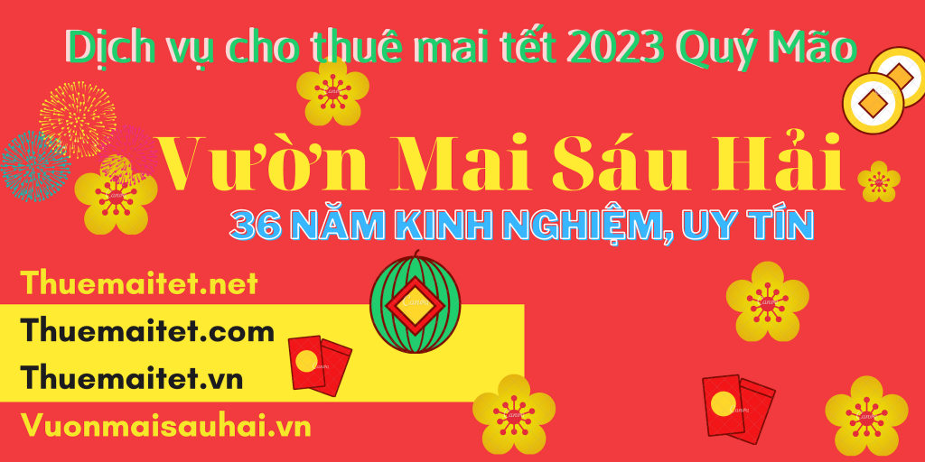 Vườn Mai Sáu Hải