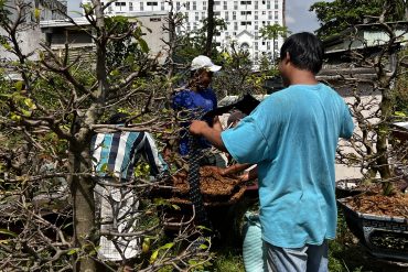 Các nghệ nhân đang miệt mài làm viêc